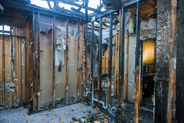 Professional Fire Damage Repair technician working in Warren, MN